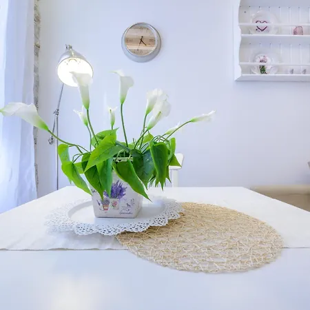 Dream Holiday Apartment Dubrovnik